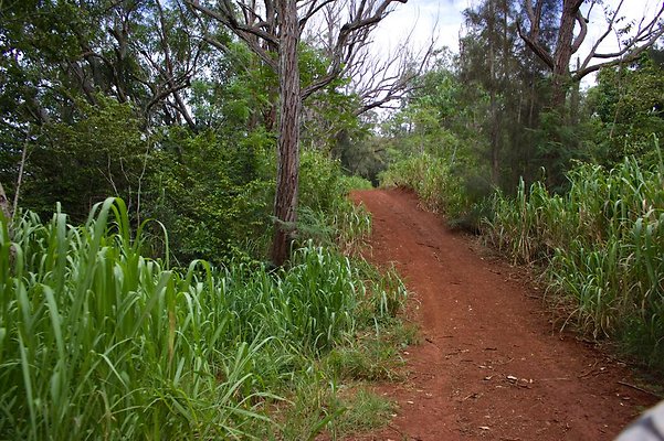 th IMG 4515 th IMG 4515