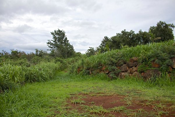 th IMG 4569 th IMG 4569