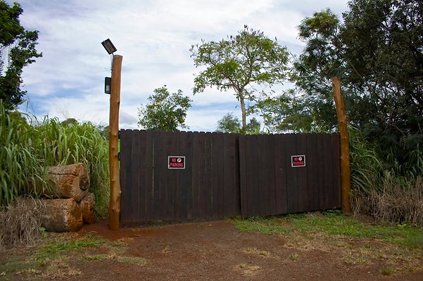 th IMG 4547 th IMG 4547