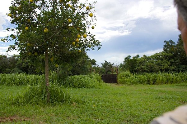 th IMG 4546 th IMG 4546