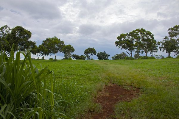 th IMG 4545 th IMG 4545