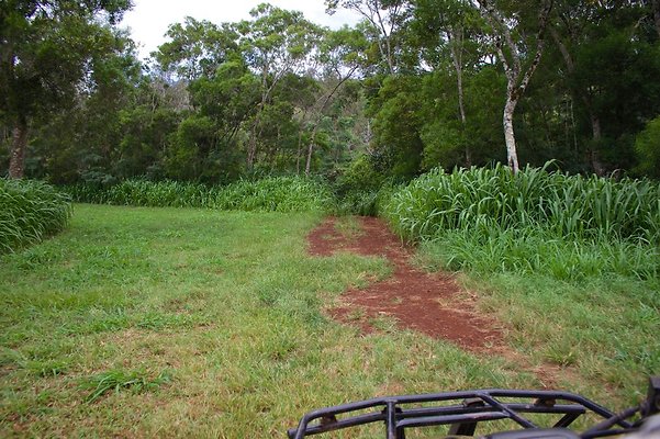 th IMG 4513 th IMG 4513