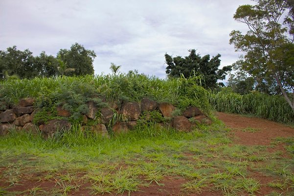 th IMG 4568 th IMG 4568