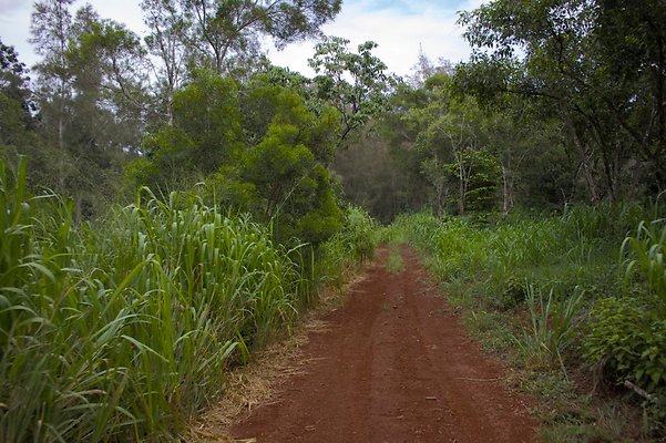 th IMG 4541 th IMG 4541