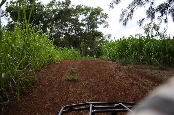 th IMG 4517 th IMG 4517