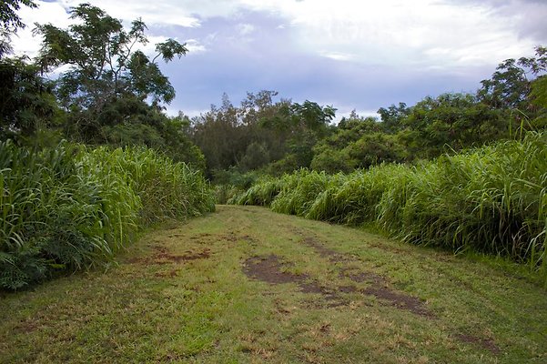 th IMG 4550 th IMG 4550