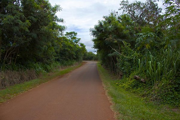 th IMG 4548 th IMG 4548