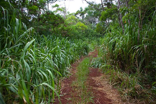 th IMG 4544 th IMG 4544