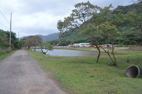 Tradewinds Ranch - 53-105 Kamehameha Hwy Punaluu - Sheryl Thielen and David Husband Tradewinds Ranch - 53-105 Kamehameha Hwy Punaluu - Sheryl Thielen and David Husband