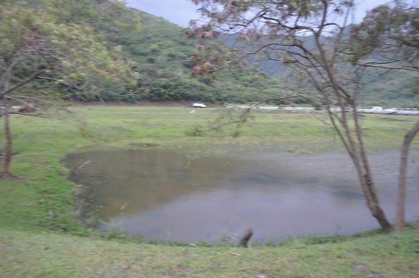 th DSC 0191 2 th DSC 0191 2