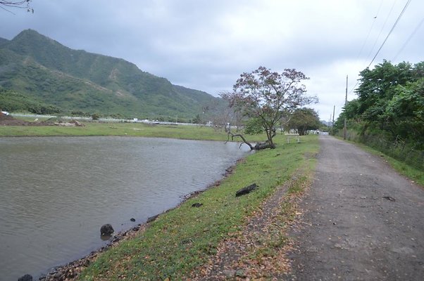 th DSC 0186 2 th DSC 0186 2