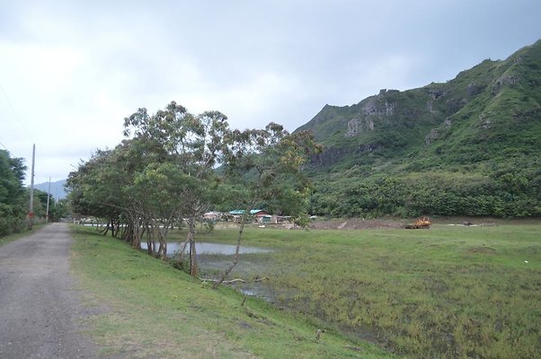 th DSC 0200 2 th DSC 0200 2