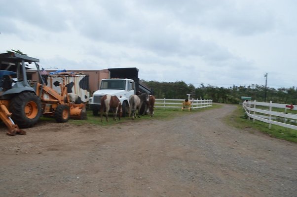 th DSC 0171 2 th DSC 0171 2