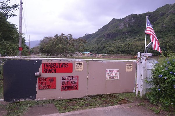 th DSC 0207 2 th DSC 0207 2