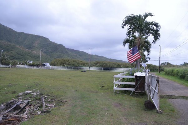 th DSC 0204 2 th DSC 0204 2