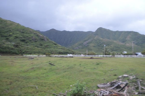 th DSC 0203 2 th DSC 0203 2