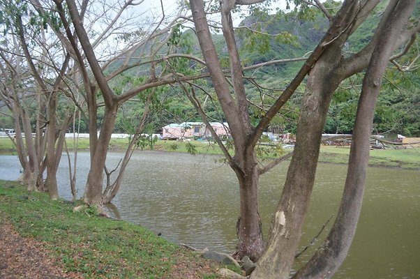 th DSC 0184 2 th DSC 0184 2