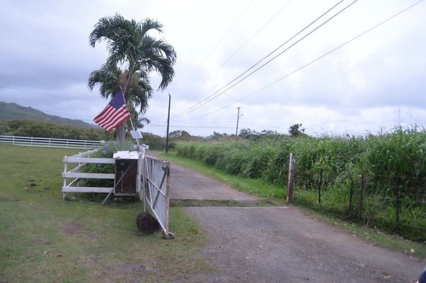 th DSC 0205 2 th DSC 0205 2