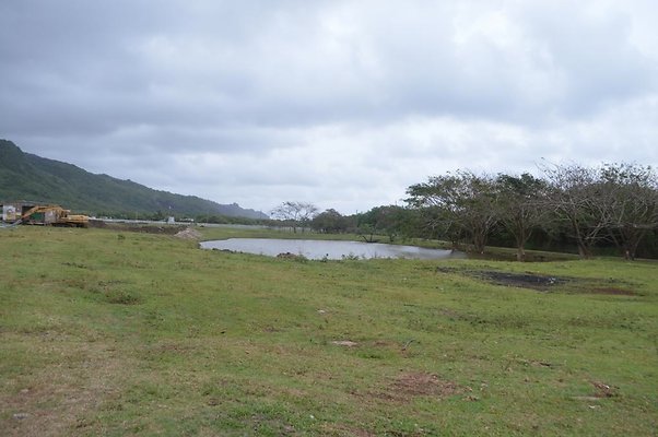 th DSC 0174 2 th DSC 0174 2