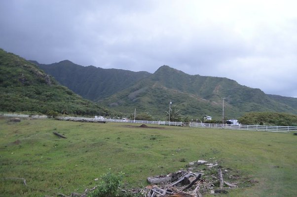 th DSC 0202 2 th DSC 0202 2