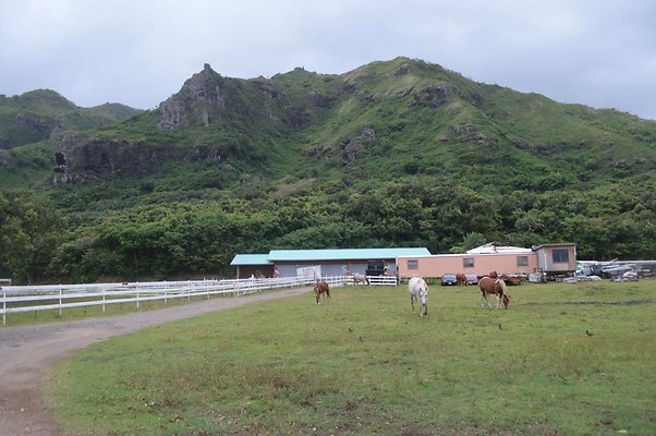 th DSC 0176 2 th DSC 0176 2