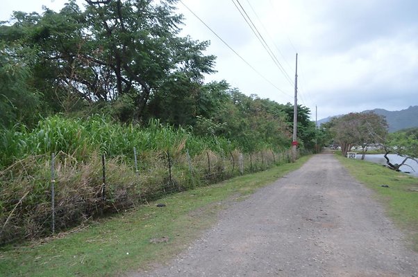 th DSC 0188 2 th DSC 0188 2