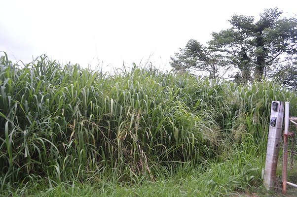 th DSC 0206 2 th DSC 0206 2