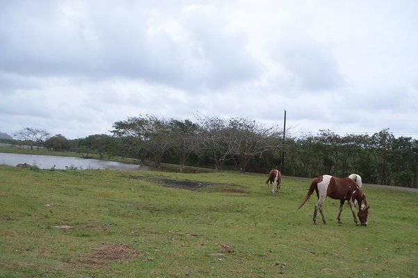 th DSC 0175 2 th DSC 0175 2