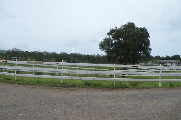 th DSC 0172 2 th DSC 0172 2