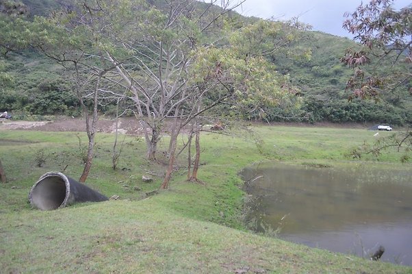 th DSC 0190 2 th DSC 0190 2