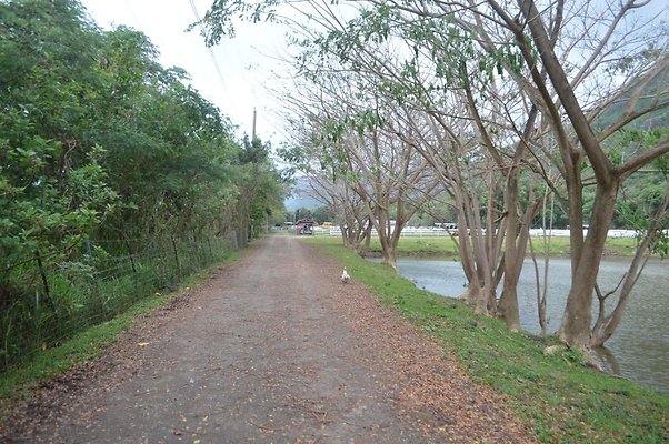 th DSC 0183 2 th DSC 0183 2