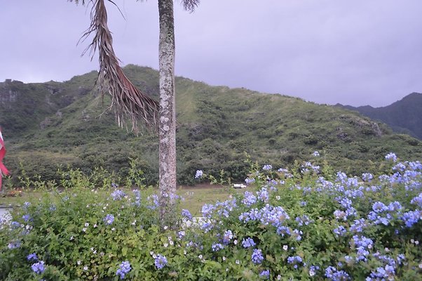 th DSC 0208 2 th DSC 0208 2