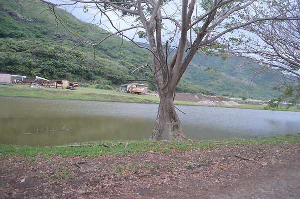 th DSC 0180 2 th DSC 0180 2