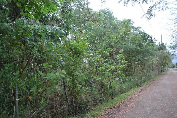 th DSC 0182 2 th DSC 0182 2