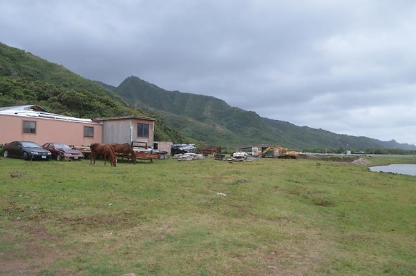 th DSC 0173 2 th DSC 0173 2