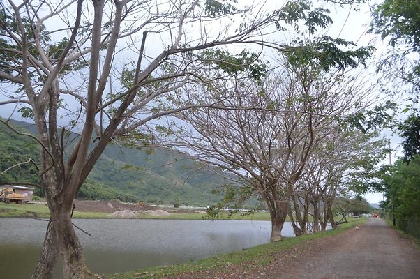 th DSC 0181 2 th DSC 0181 2