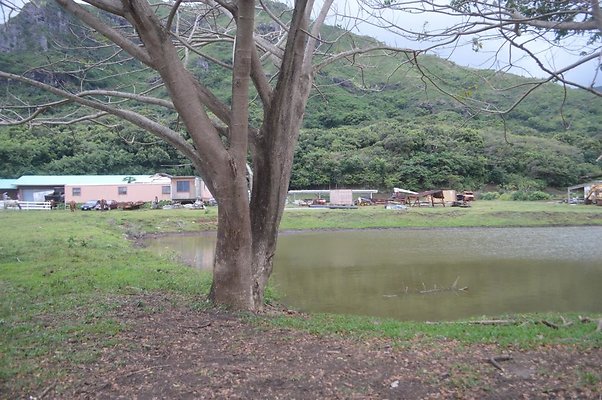 th DSC 0179 2 th DSC 0179 2