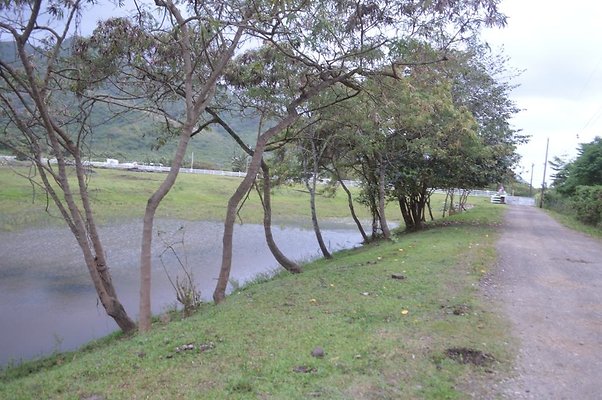 th DSC 0192 2 th DSC 0192 2