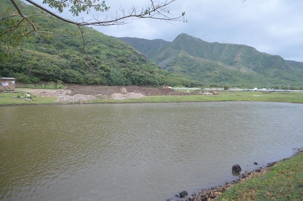 th DSC 0185 2 th DSC 0185 2