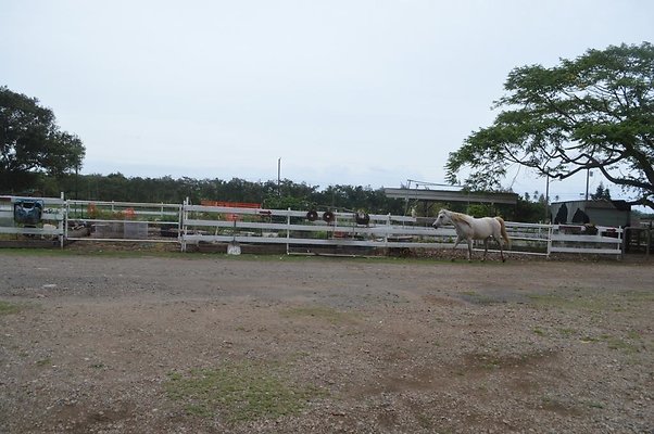 th DSC 0090 th DSC 0090