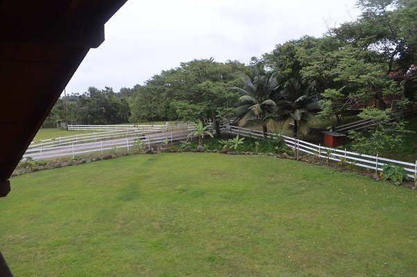 th DSC 0140 2 th DSC 0140 2