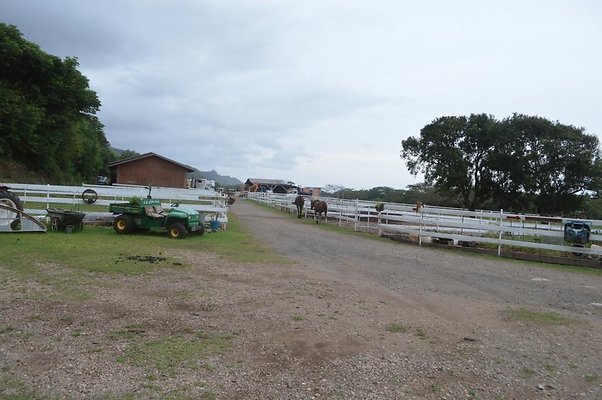 th DSC 0089 th DSC 0089