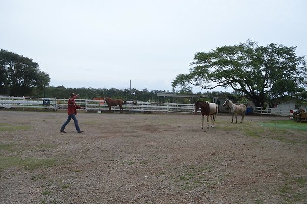 th DSC 0092 th DSC 0092