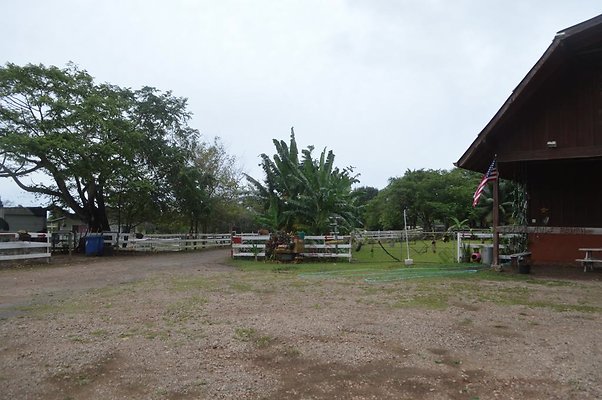 th DSC 0085 th DSC 0085