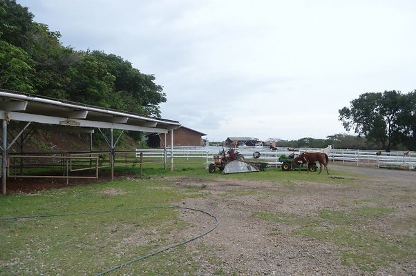 th DSC 0091 th DSC 0091