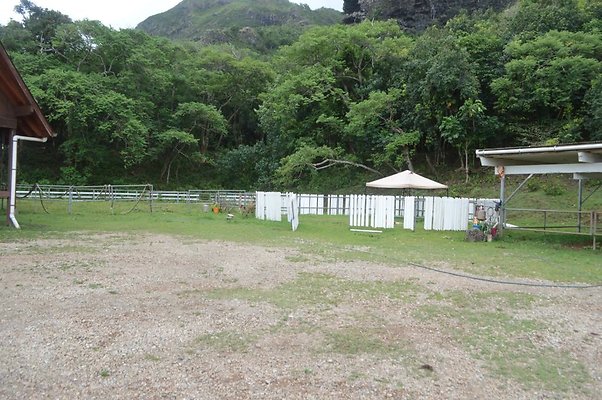 th DSC 0087 th DSC 0087