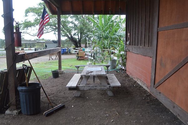 th DSC 0097 th DSC 0097