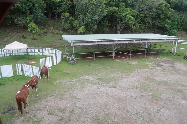 th DSC 0131 2 th DSC 0131 2