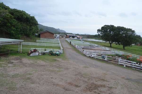 th DSC 0132 2 th DSC 0132 2