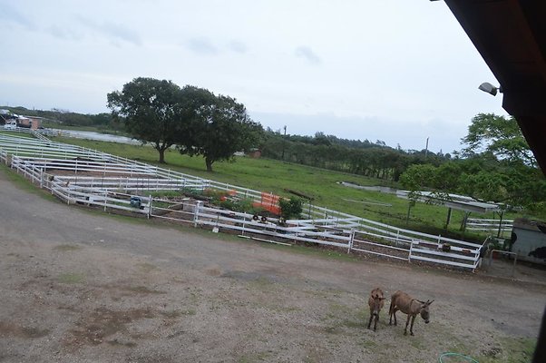 th DSC 0133 2 th DSC 0133 2